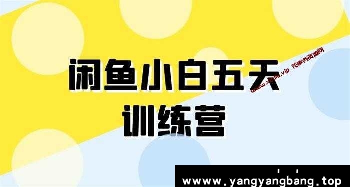 卓让《闲鱼项目小白五天训练营》