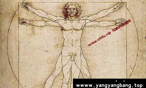 《达芬奇》BBC纪录片