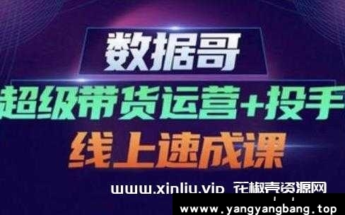 数据哥《超级带货运营+投手》线上速成课