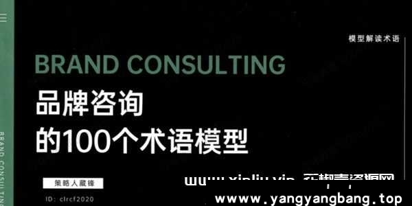 《品牌咨询100个术语模式》