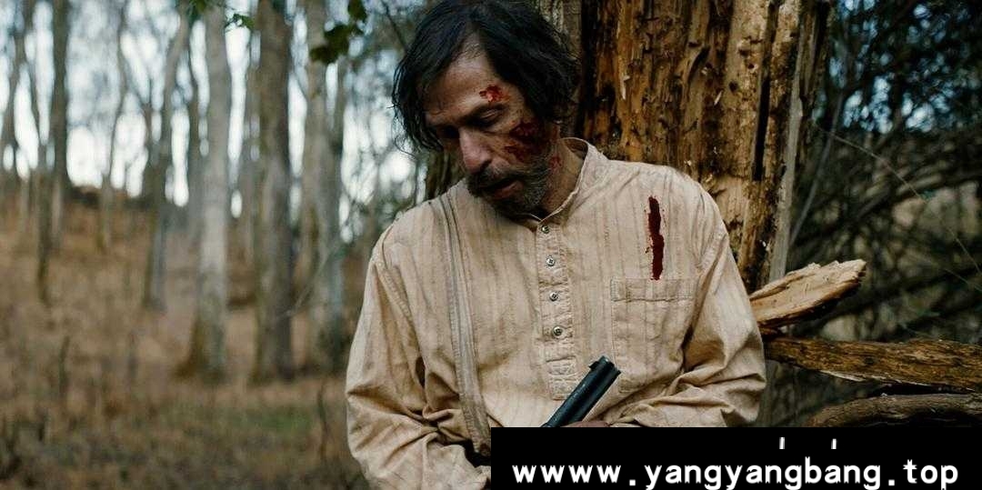 《老亨利/Old Henry》