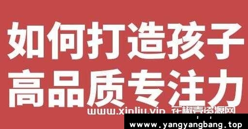 栗敏《如何打造孩子高品质专注力》