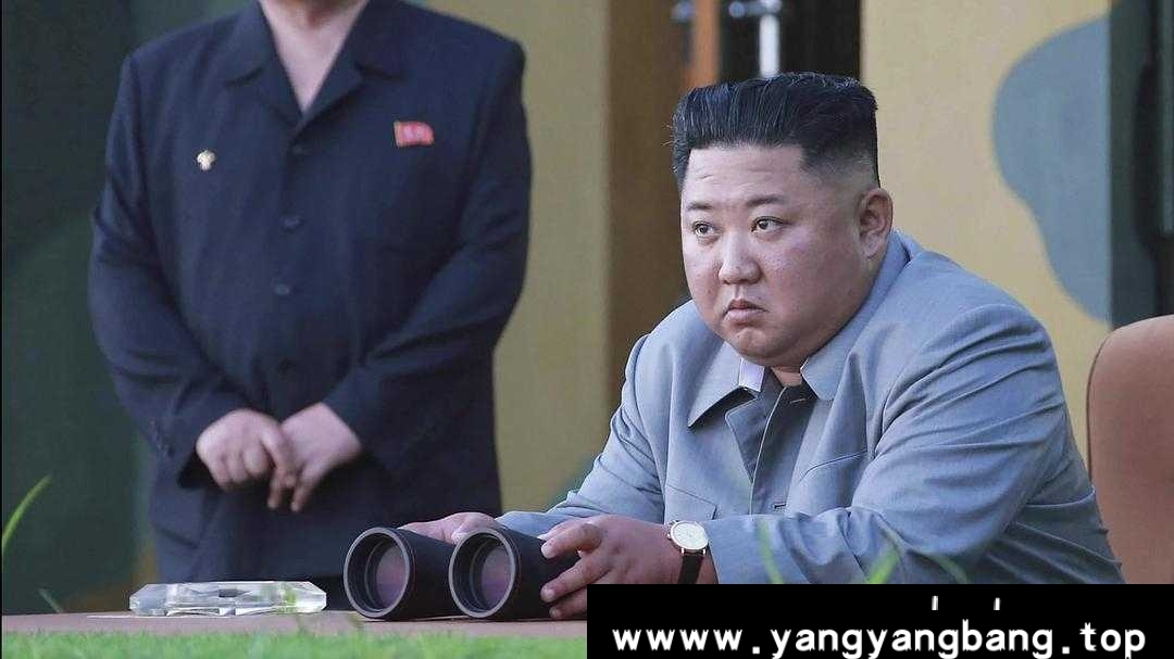 刺杀/ 金氏殺機(港)》1080P种子网盘下载