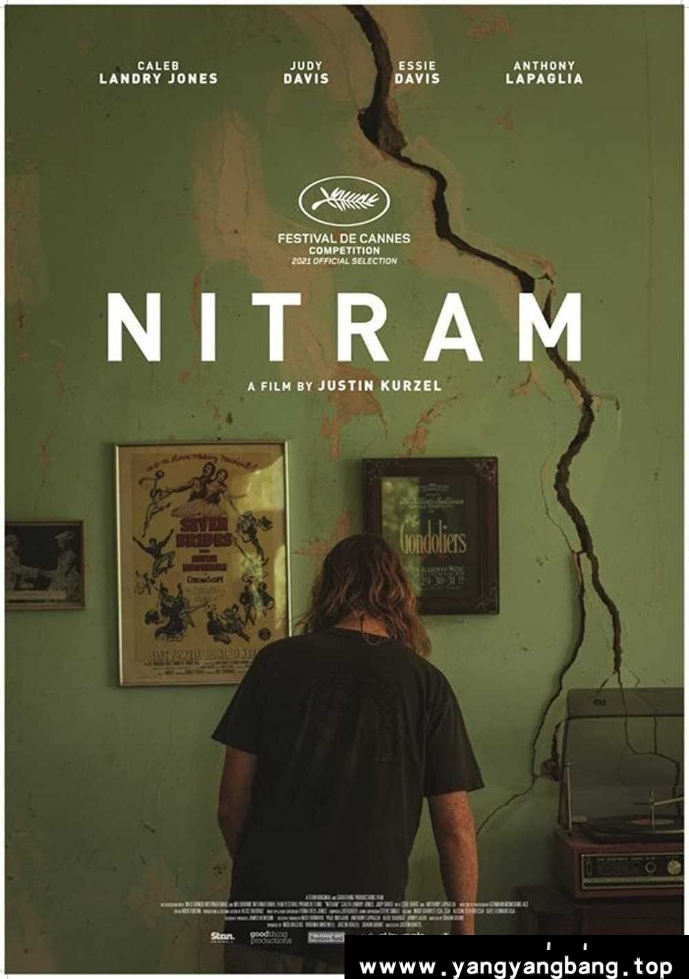 内特拉姆 蓝光高清MKV版/恶的序章(台) 2021 Nitram