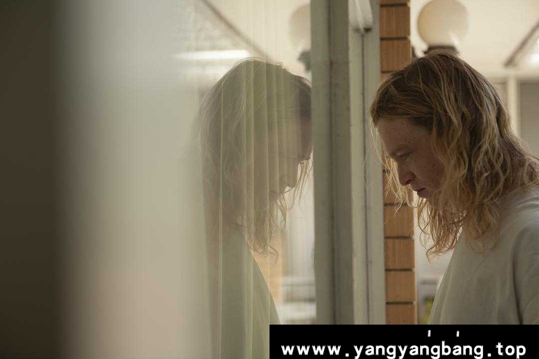 《内特拉姆 / 恶的序章(台)/Nitram》4k蓝光种子网盘下载