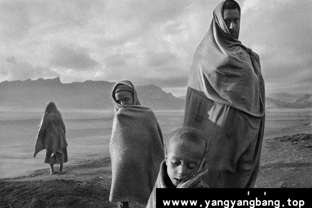 纪录片/传记《地球之盐/ 萨尔加多的凝视(台) / 大地之盐 / 地上的盐 / The Salt of the Earth/Le sel de la Terre》