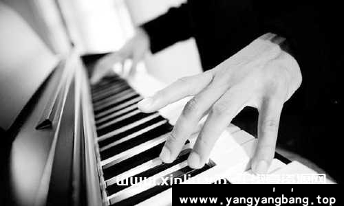 《钢琴学习视频合集》入门/考级/大师/名师/培训