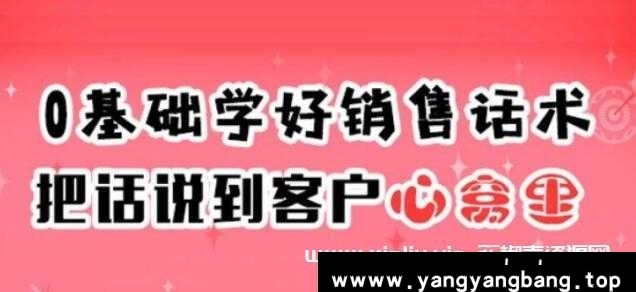 销售技巧和话术《0基础学好销售话术，把话说到客户心窝里》简介：