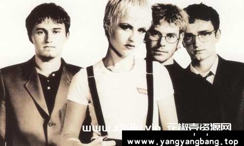 The Cranberries/小红莓乐队44张专辑整轨无损歌曲(1993-2019)合集