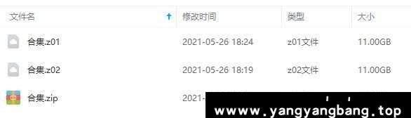 《教皇合唱团/Gregorian 1000首无损歌曲》简介：