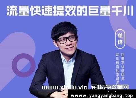 网川《流量快速提效的巨量千川》