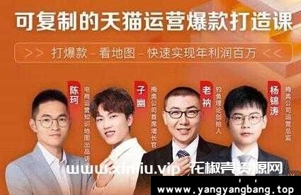 牛气学堂《可复制的天猫运营爆款打造课》