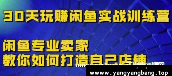 《30天玩赚闲鱼实战训练营》闲鱼专业卖家教你如何打造自己店铺