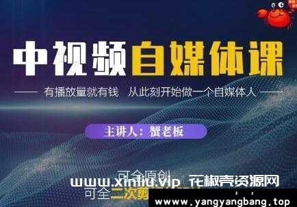 蟹老板《中视频自媒体课》原创和二次剪辑的玩法-