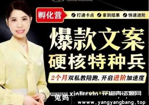 兔妈《爆款文案》硬核特种兵孵化营