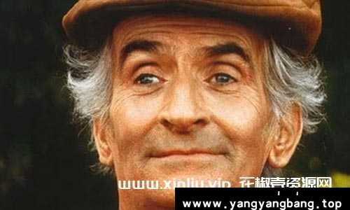 路易德菲奈斯/Louis De Funès导演29部电影中字合集