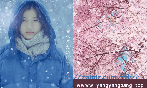 日剧《小森林》夏秋篇+冬春篇高清电影视频日语中字[MP4/4GB]云网盘下载