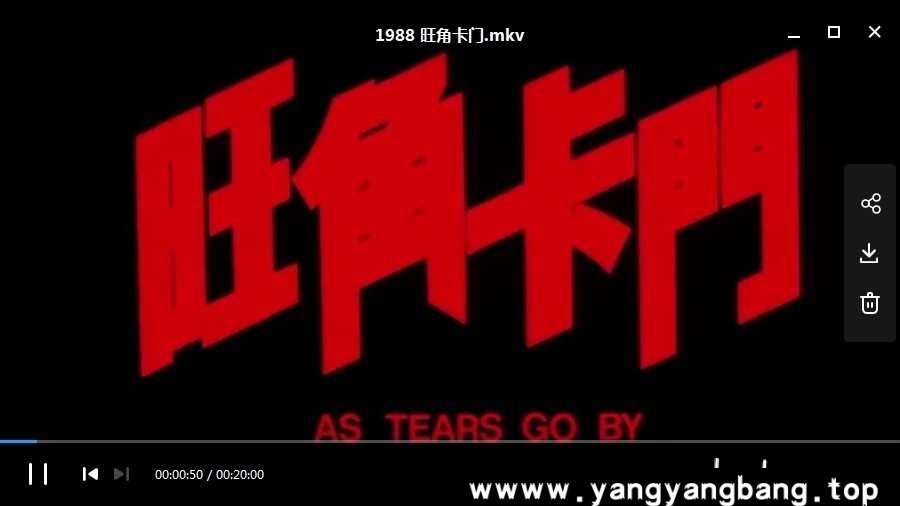 王家卫导演电影10部高清合集