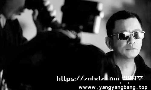 王家卫导演电影10部高清合集