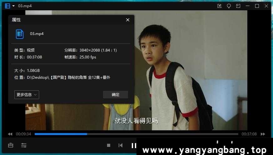 《隐秘的角落》12全集