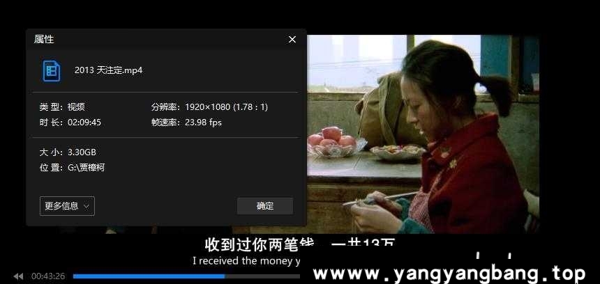 《贾樟柯导演 电影/短片23部合集》