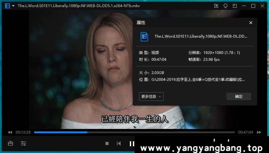 美剧《拉字至上/The L Word》全6季+Q世代