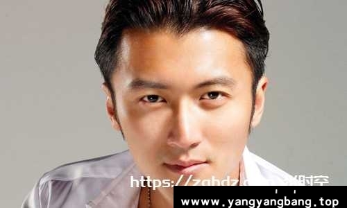 谢霆锋电影合集24部