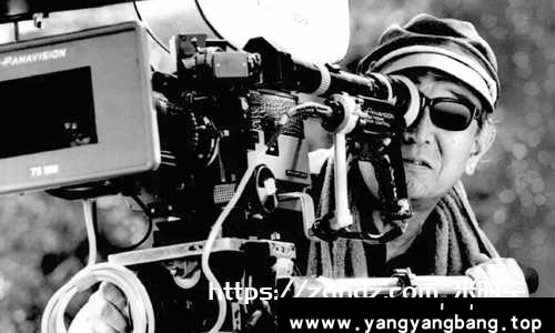 日本《黑泽明电影作品高清21部合集》日语中文字幕