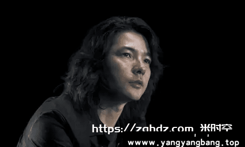 岩井俊二导演/编剧27部电影作品合集