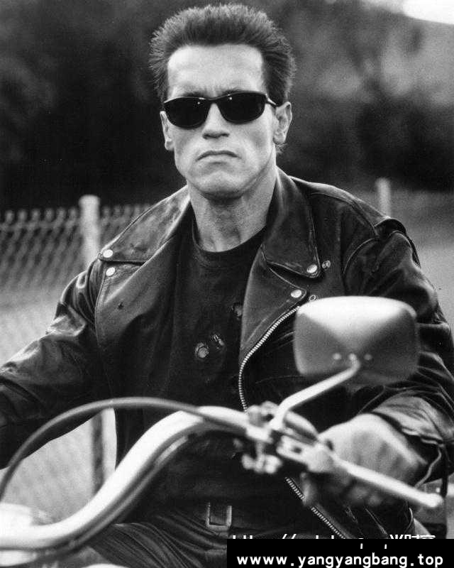 阿诺德·施瓦辛格/Arnold Schwarzenegger电影53部高清英语中字合集