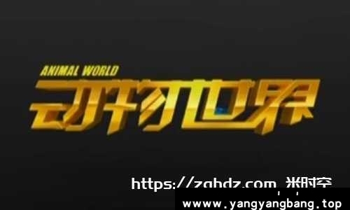 CCTV节目《动物世界》全集赵忠祥高清视频