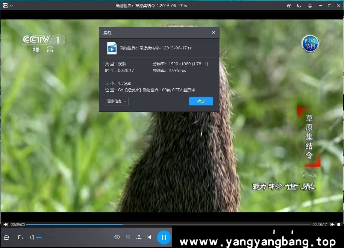 CCTV节目《动物世界》全集赵忠祥高清视频