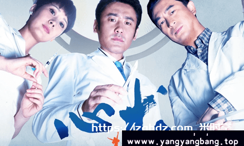 国产剧《心术(2012)》全集高清视频