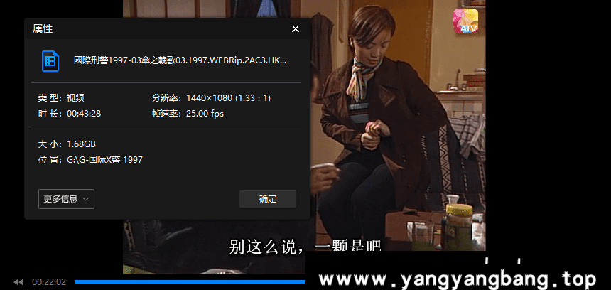 港剧《国际刑警(1997)》全集合集视频