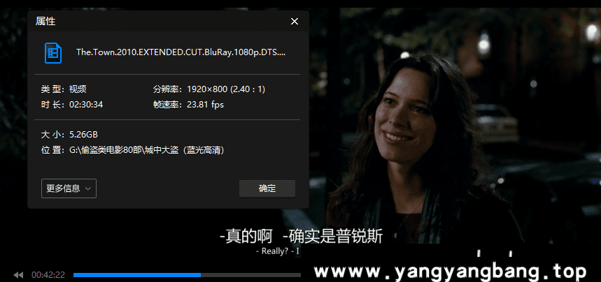 《偷盗类型电影共80部合集视频》