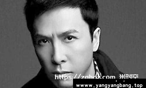 《甄子丹46部高清电影视频合集》