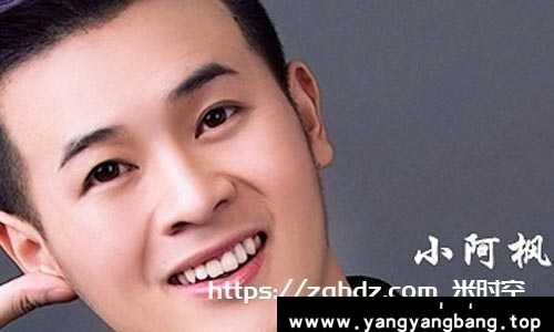 《小阿枫歌曲音乐合集》