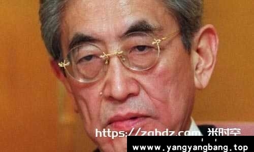 日本导演大岛渚/なぎさ作品25部高清日语外挂中字合集