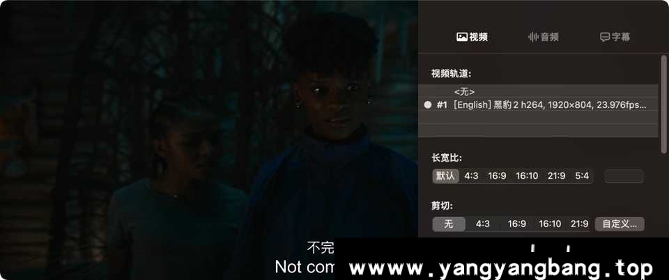 百度云网盘下载美剧《黑豹2/Black Panther: Wakanda Forever 2022》视频[MKV/16.73 GB]百度云网盘下载