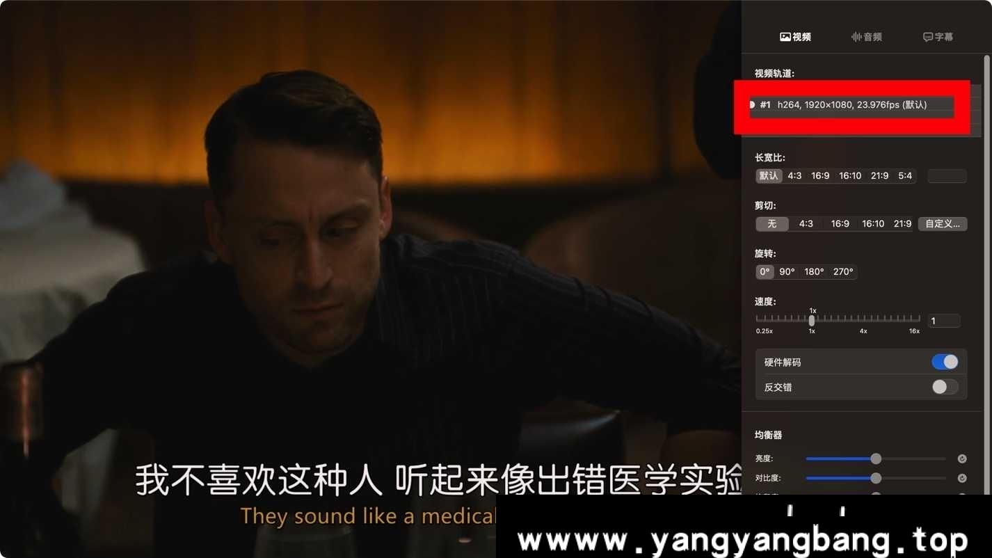 美剧《继承之战/Succession 第四季》