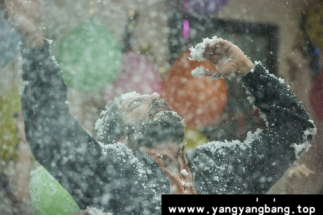 波斯语《金币灰黄/Baradaran-e Leila》