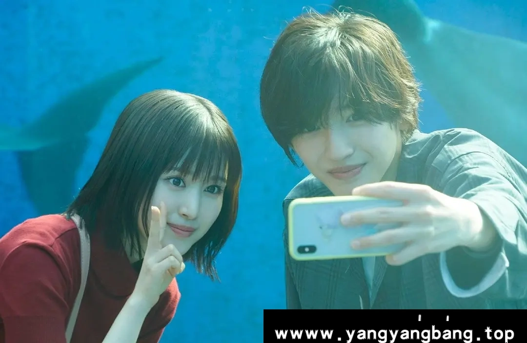 日剧《今夜，就算这份爱恋从世界上消失/世界からこの恋が消えても》