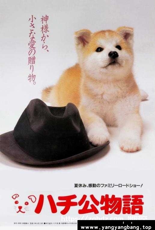 日韩剧《忠犬八公物语/Hachiko/ハチ公物語》