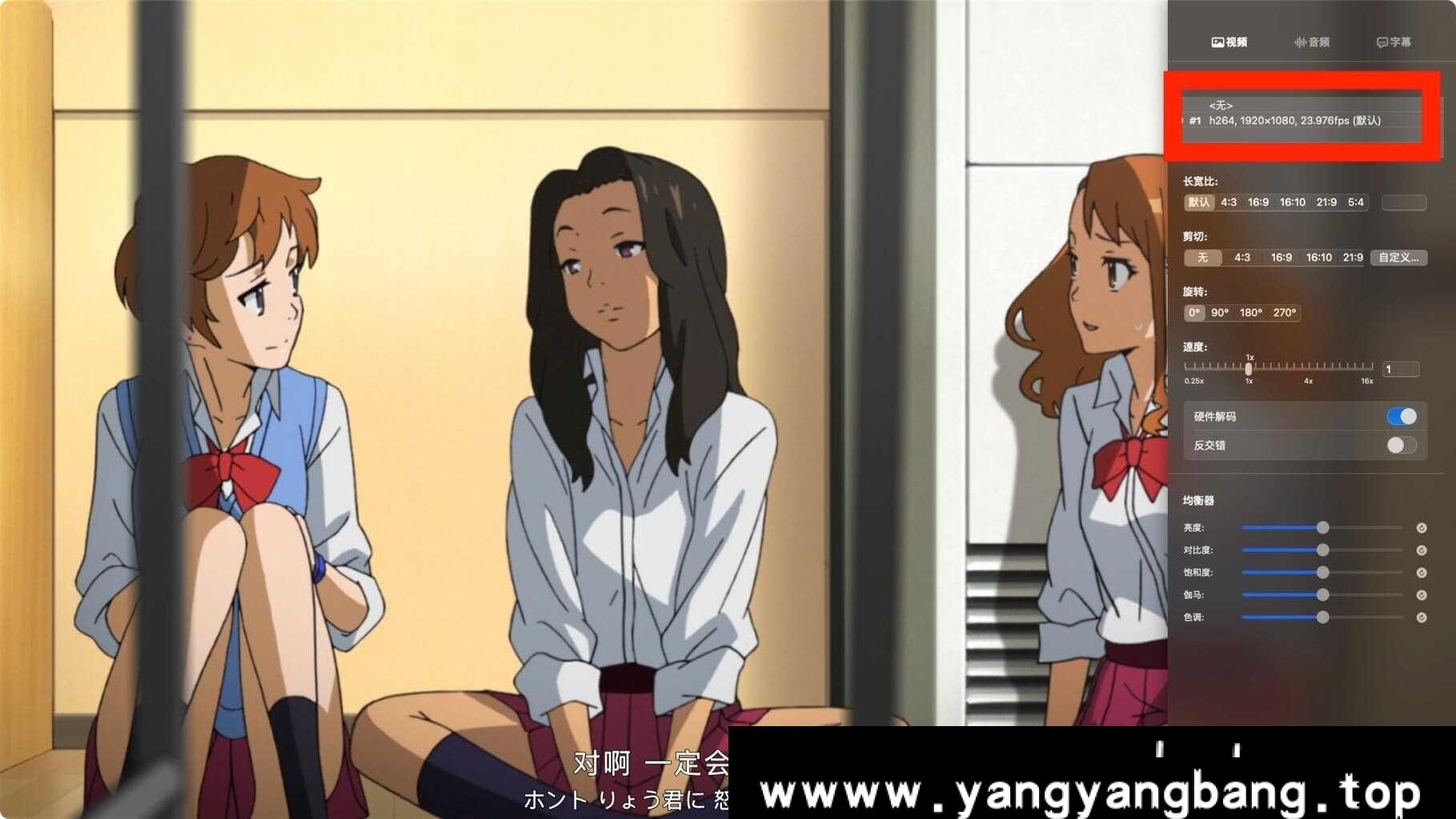 日本动漫《我们仍未知道那天所看见的花的名字/あの日見た花の名前を僕達はまだ知らない》