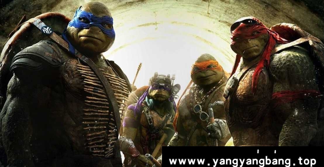 动漫/动画《忍者神龟/Teenage Mutant Ninja Turtles》全1-7季