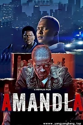 美剧《阿曼德拉/Amandla》