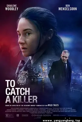 美剧《追凶/Misanthrope》