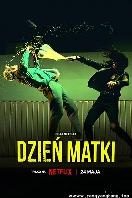 波兰剧《母亲节行动/Dzien Matki》