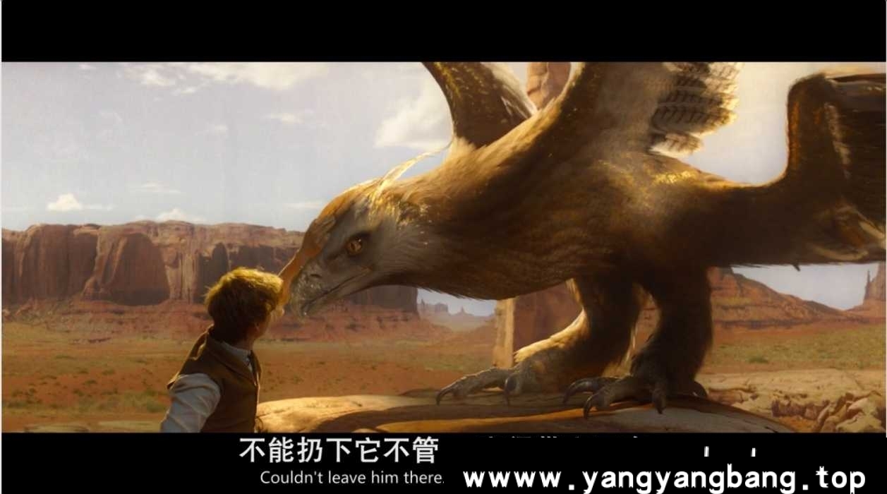 美剧《神奇动物在哪里》全1-3部