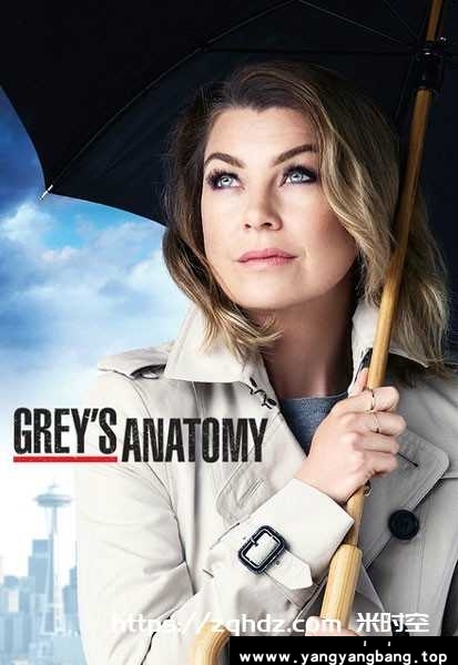 美剧《实习医生格蕾/Grey's Anatomy》
